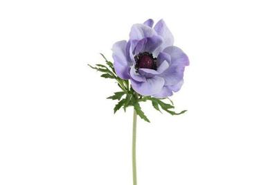 Decostar zijdebloem Anemone L 52 cm blauw Decostar zijdebloem Anemone L 52 cm blauw