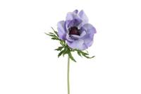 Decostar zijdebloem Anemone L 52 cm blauw - thumbnail