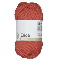 Erica Breigaren - Oranje - thumbnail