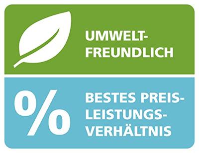 Bic balpen ECOlutions Clic Stic zwart