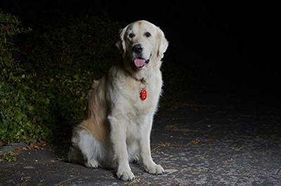 Sigma micro duo rood dual led incl 2x cr-2032