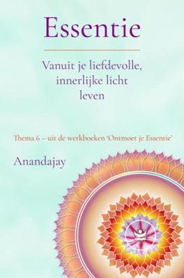 Thema 6 - Werkboek - Anandajay _ - ebook