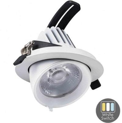 Enzo Cct led downlighter wit 30w banaan model 45gr. tri-white - led2380 Enzo Cct led downlighter wit 30w banaan model 45gr. tri-white - led2380