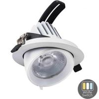 Enzo Cct led downlighter wit 30w banaan model 45gr. tri-white - led2380 - thumbnail