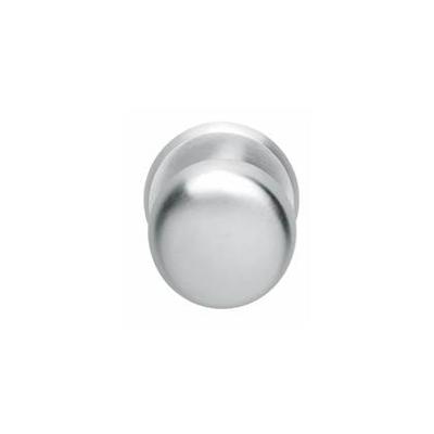 Intersteel VoordeurknopCastor mat chroom Ø 8cm - 0017.393033