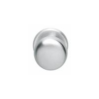 Intersteel VoordeurknopCastor mat chroom Ø 8cm - 0017.393033 - thumbnail