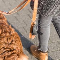 TRIXIE HONDENRIEM RUSTIC VETLEER VERSTELBAAR HEARTBEAT BRUIN 200X2,5 CM - thumbnail