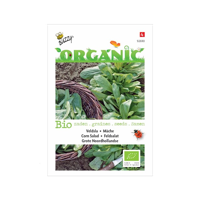 Zaden Organic Veldsla Grote Noordhollandse (BIO) Buzzy - Buzzy - thumbnail