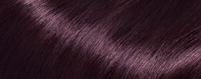 L'Oréal Paris Casting Crème Gloss Haarkleuring Violet Bruin 316 L'Oréal Paris Casting Crème Gloss Haarkleuring Violet Bruin 316