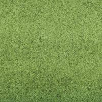 Deurmat Groen en Zwart 120 x 300 cm Polyamide en PVC - thumbnail