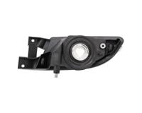 Mistlamp rechts 190603052 - thumbnail