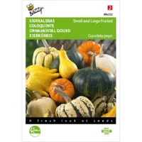 Cucurbita, Sierkalebas klein- en groot gemengd - thumbnail