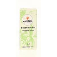 Eucalyptus smithii bio - thumbnail