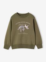 Sweater met ronde hals en geplaatste print voor jongens kaki - thumbnail