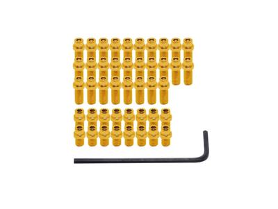 DMR pin kit vault gold