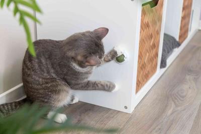 TRIXIE Catnip ball - speelgoed voor kat - thumbnail
