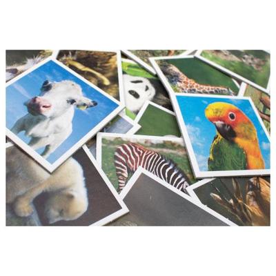 Tactic babydieren memo