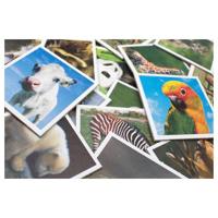 Tactic babydieren memo - thumbnail