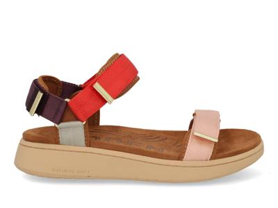 Woden Line WL926 374 flame multi multi rood maat 38