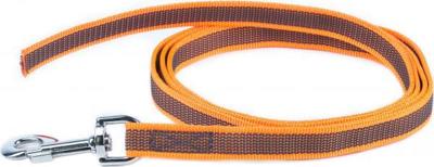 Antislip Hondenriem - 20mm x 2m - Oranje