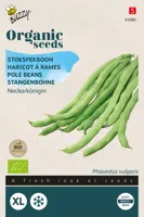 Stokspekboon - Neckarkönigin (BIO) - thumbnail