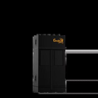 Gorilla Gorilla Shorty SH Kweektent