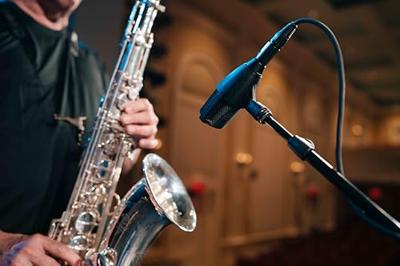 Sennheiser MD 421 Kompakt dynamische instrumentmicrofoon