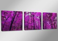 Schilderij - Boom, Paars, 150X50cm, 3luik - thumbnail