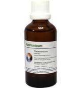 Balance Pharma Paramonicum