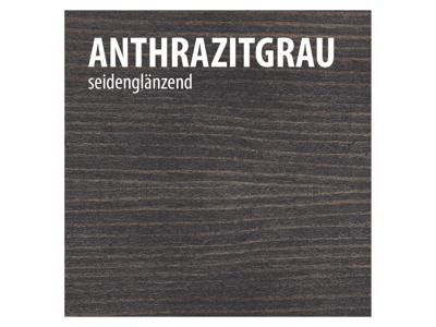 BAUFIX Weerbeschermende houtgel 5 liter (Antracietgrijs)