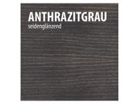 BAUFIX Weerbeschermende houtgel 5 liter (Antracietgrijs) - thumbnail