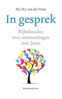 In gesprek - H.J. van der Veen - ebook - thumbnail