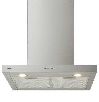 ETNA AB660RVS schouwkap