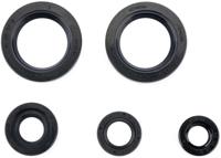 ATHENA motor-keerring set motorshield ktm - thumbnail