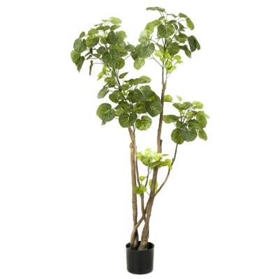 Kunstplant Boom Polyscias - 135cm
