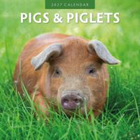 Varken Kalender 2027 - thumbnail