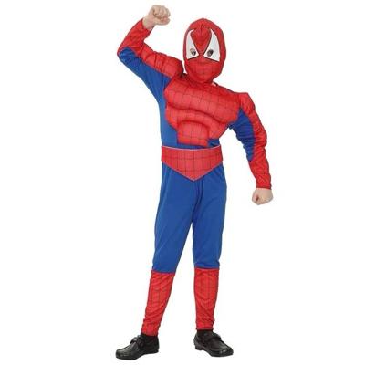 Gespierde spiderman pak kind