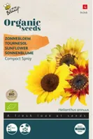 Zaden Organic Helianthus Zonnebloem Compact Spray(BIO) Buzzy - Buzzy - thumbnail