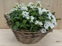 Rieten mand zomerbloeiers wit dia. 30 cm Warentuin Natuurlijk - Warentuin natuurlijk - thumbnail