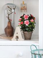 Decoratieve plant Mica Decorations 11,5 x 27 x 20 cm - thumbnail