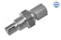 Sensor, temperatuur binnenkomende lucht 30148120002 - thumbnail