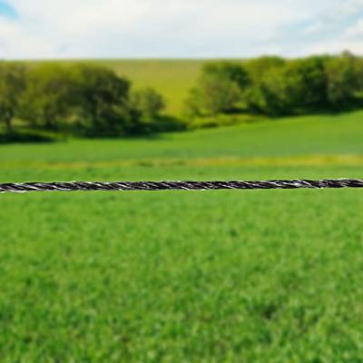 Gallagher Vidoflex 6 PowerLine terra 200m - 063970 063970 - thumbnail