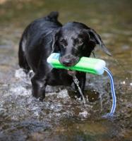 Chuckit amphibious bumper assorti - thumbnail