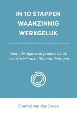 In 10 stappen waanzinnig werkgeluk (Paperback)