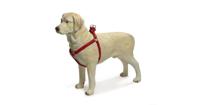 Hondentuig Mac Leather 50-75cm rood - thumbnail