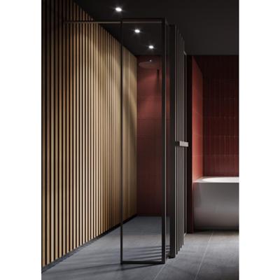 Glaspaneel Riho Define Incl. H-Profiel en Hoekprofiel 40x200 cm Mat Gunmetal