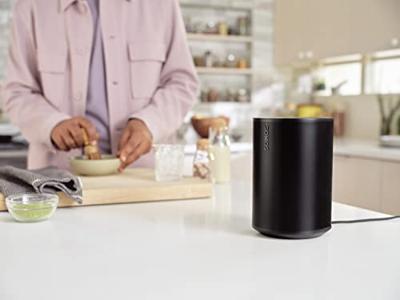 Sonos ERA 100 Wifi speaker Zwart