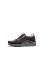 Ara 1257702 - alle - thumbnail