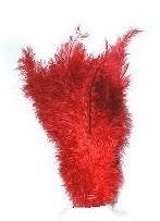 Floss veer rood