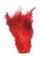 Floss veer rood - thumbnail